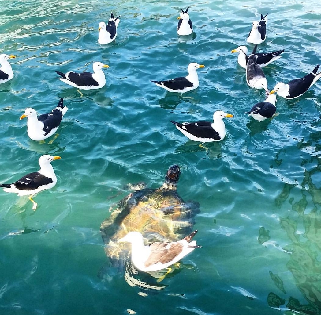 WhatsApp Image 2019-03-29 at 12.10.24 (1)