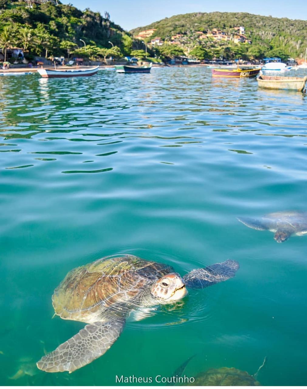 WhatsApp Image 2019-03-29 at 12.10.25 (2)