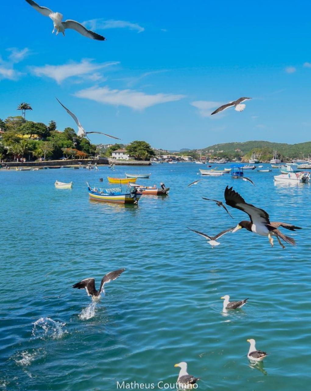 WhatsApp Image 2019-03-29 at 12.10.25 (3)